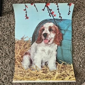 Original Vintage 20" Poster 1960's Cocker spainiel Dog Wall Decor